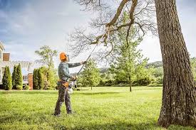 Best Tree Trimming and Pruning  in Lemoore Station, CA